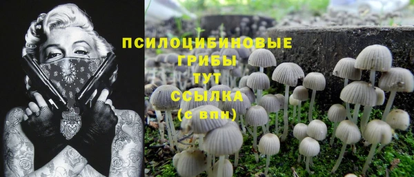 дурь Балахна
