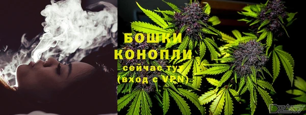 стафф Ростов
