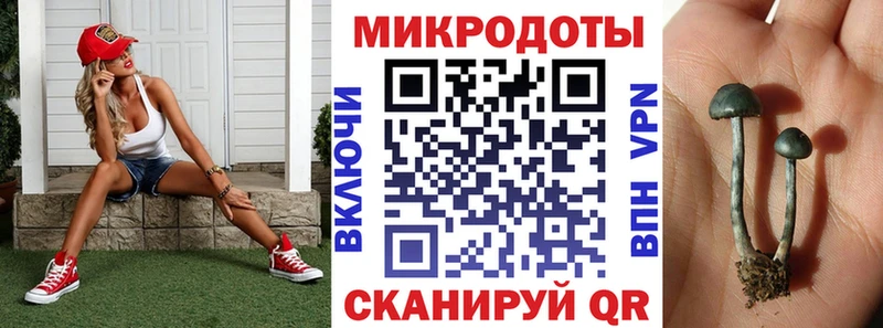 Псилоцибиновые грибы мухоморы  Заозёрск 