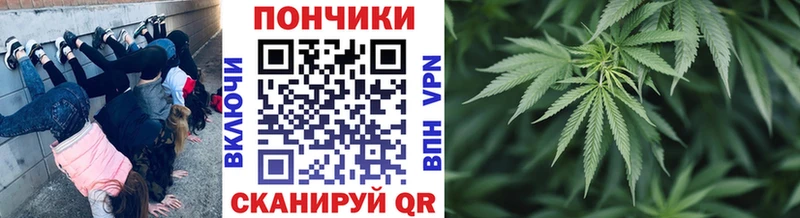 МАРИХУАНА AK-47  дарнет шоп  Заозёрск 